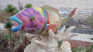 GC-Playa de Arinaga 2026-130.jpg